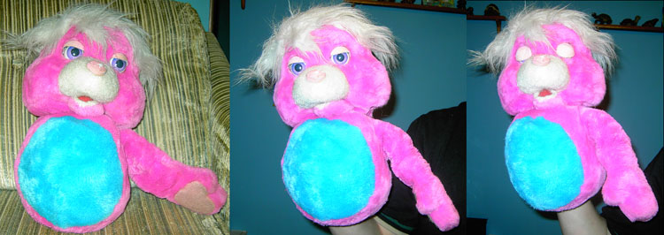 Popples